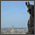 Dresden
